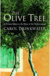 The Olive Tree