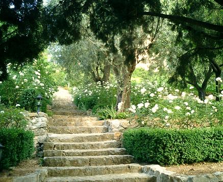 Lady Fortescue's original garden near Grasse